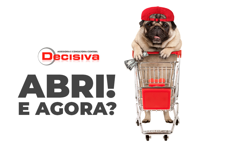 Abri E Agora Aprenda Como Administrar Um Pet Shop Post (1) - Contabilidade em São Paulo | Decisiva Assessoria e Consultória Contábil