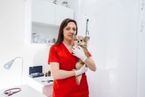 Contabilidade para médicos veterinários - Imagem médica veterinária em consultório veterinário abraçando cachorro pet